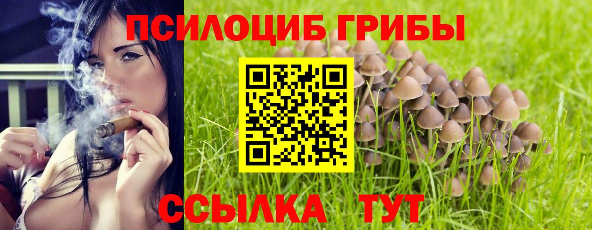 Галлюциногенные грибы GOLDEN TEACHER  Вход с VPN  Южноуральск 